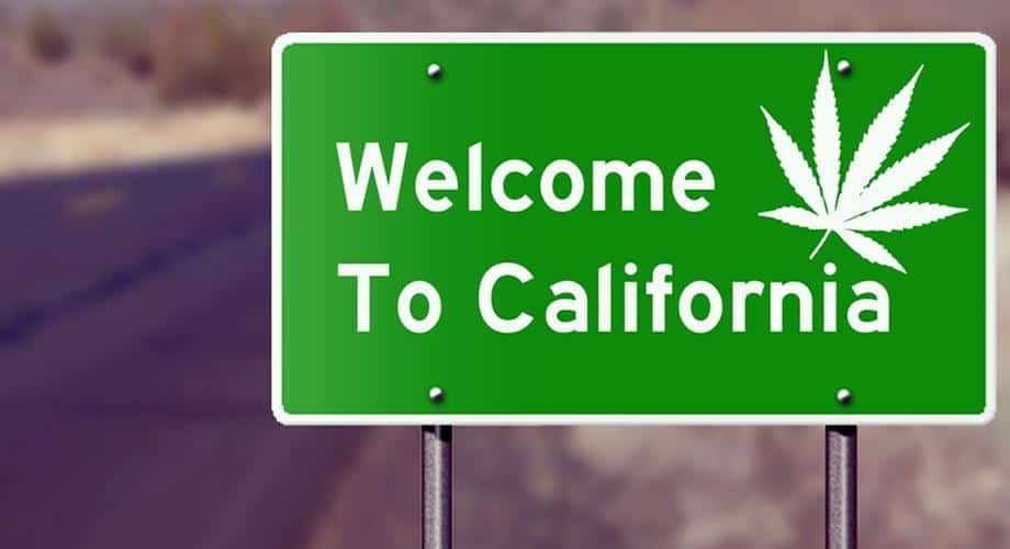 Выращивание и продажа каннабиса в американском штате Калифорния